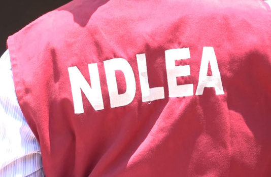 NDLEA seizes London-bound cocaine, heroin, others at Lagos airport, NDLEA arrests Uber driver, 97 wraps of cocaine, a suspected drug trafficker, Chigbogu Obiora, at the Murtala Muhammed International Airport, Ikeja, Lagos, NDLEA arrested drug trafficker,