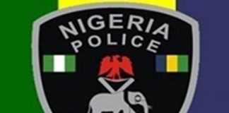 Police arrests in Enugu State, hijack of cement truckload, ASP killed in Adamawa, ASP killed in mob attack, 60 policemen, criminal gang,