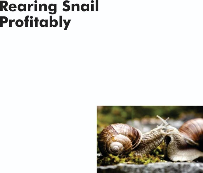 Snail profitability