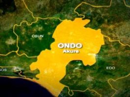 Assailants hack church sweeper to death in Ondo, Suspected herders lure butchers with sales of cows, kill two, injure one, kidnap one other, Six burnt to death in Ondo auto crash, Suspected internet fraudster kills two, injures four in Ondo accident, Two charged to court over baby swap, disappearance in Ondo, Abducted Ondo little girls regain freedom, N5m ransom paid, Pastor rapes teenager in Ondo, Police arrest masqueraders for robbery in Ondo, 26-year-old man kills father over chicken head, Five injured as lover storms party with gun over girlfriend's presence, Landlord’s son kills tenant