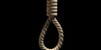 Government official commits suicide