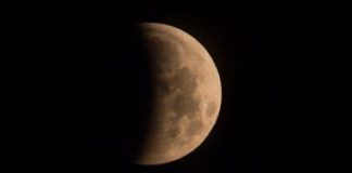 Partial eclipse expected on November 19